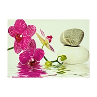 Картина на подрамнике "Орхидея у воды и камней"