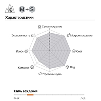 Шина зимняя нешипуемая Hankook RW10 275/40 R21 107T