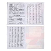Тетрадь-словарь для записи иностранных слов 48 листов "Английский флаг", со справочной информацией