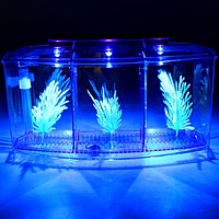 Аквариум-отсадник трехсекционный с подсветкой и светящимися растениями, фиолетовый, 5л