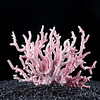 Коралл пластиковый малый 17 х 6 х 13 см, розовый