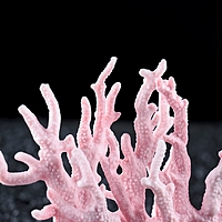 Коралл пластиковый малый 17 х 6 х 13 см, розовый