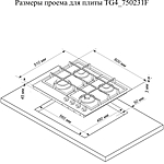 Варочная поверхность Electronicsdeluxe TG4 750231F-024 ЧР