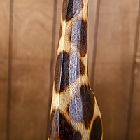 Сувенир "Традиционный жираф", 80 см