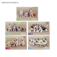 Альбом для рисования А4, 32 листа на гребне "Зверье мое" обложка картон 185г/м2, блок офсет 100 г/м2, с перфорацией на отрыв, 5 видов МИКС