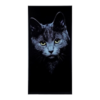 Картина на стекле "Кот"