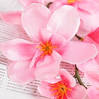 Цветы искусственные "Розовая орхидея Гуарианте"