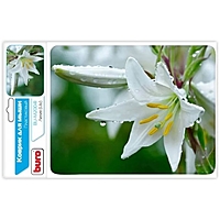 Коврик для мыши Buro BU-M20041 рисунок/лилия