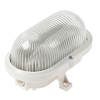 Светильник TDM НБП 02-60-004.02У, 60 Вт, Е27, овал, без сетки, IP54, белый, SQ0312-0010