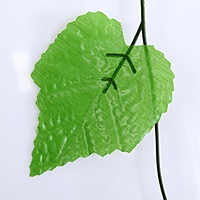 Лиана "Виноградные листья"
