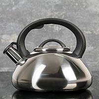 Чайник со свистком 2,8 л "Квант", фиксированная ручка, цвет чёрный