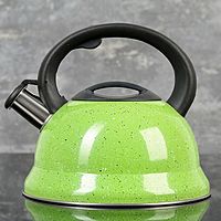 Чайник со свистком 2,8 л "Рио", фиксированная ручка, цвет зеленый