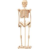 Сборная деревянная модель Скелет человека