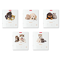 Тетрадь 12 листов, линейка, Erich Krause «Дружба», картонная обложка 170 г/м2, МИКС