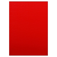 Папка для Дипломных работ (без бумаги) без надписи 10ДР00 красная