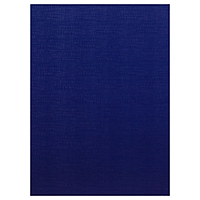 Папка для Дипломных работ (без бумаги) без надписи 10ДР00 синяя