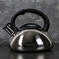 Чайник со свистком 2,8 л "Блеск"