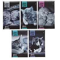Блокнот А5, 40 листов на гребне "Кошки", 5 видов МИКС