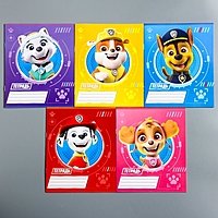 Тетрадь 12 листов клетка "Щенячий патруль", 5 видов МИКС, PAW Patrol