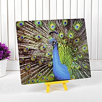 Алмазная вышивка с частичным заполнением "Павлин" с подставкой