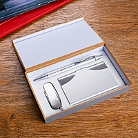 Подарочный набор, 3 предмета в коробке: ручка, визитница, нож