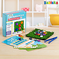 Развивающий набор «Цветная роса»