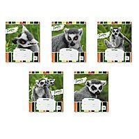 Тетрадь 18 листов, линия, Erich Krause, Lemur Style