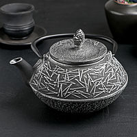 Чайник Доляна «Хрома», с ситом, 800 мл, эмалированное покрытие внутри