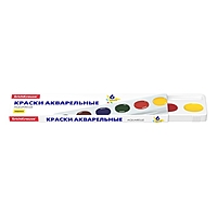 Акварель 6цв ErichKrause Basic медовая 50585