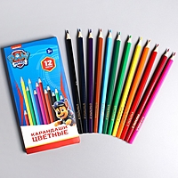 Карандаши цветные, 12 цветов, PAW PATORL