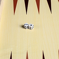 Игровой набор 2 в 1: шашки и нарды, поле 39 × 39 см