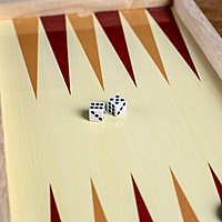 Игровой набор 2 в 1: шашки и нарды, поле 29 × 29 см