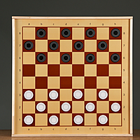 Набор демонстрационных магнитных шашек36 шт, d=5.5 см, толщина 4 мм