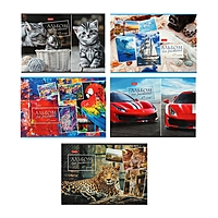 Альбом для рисования А4 48 листов "Ассорти", на скобе