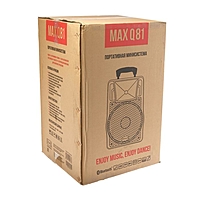 Портативная караоке система MAX Q81, 30 Вт, FM, AUX, micro SD, USB, BT, Li-Ion 6600 мАч