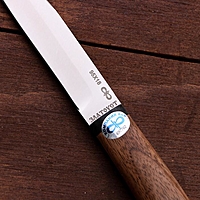 Нож "Заноза", рукоять дерево, 95х18