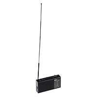 Радиоприёмник Ritmix RPR-155, FM/AM 87–108 МГц, MP3, USB, microSD, аккумулятор, черный