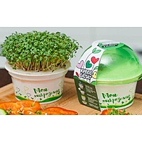 Набор для выращивания, Кресс-салат «Моя микрозелень»
