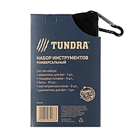 Набор инструментов TUNDRA, подарочный чехол с карабином, 19 предметов