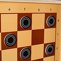 Шахматы и шашки демонстрационные магнитные 73х73х3.5 см