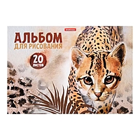 Альбом д/рис А4 20л на клею Wild Cat, обл мел карт, жёст подл, блок 120г/м2 49829