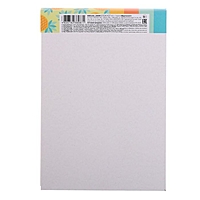 Блокнот А5 40л SKETCHPad Фрутоскоп жес подл бел блок 100г/м2 66882