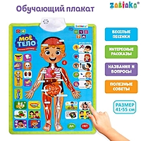 ZABIAKA Обучающий плакат "Тело человека"