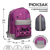 Рюкзак 38х28х19 см эргономичная спинка Calligrata Э Кот
