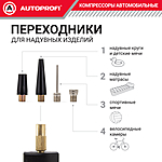 Компрессор автомобильный Autoprofi AK-65 с сумкой