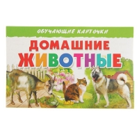 Обучающие карточки. Домашние животные