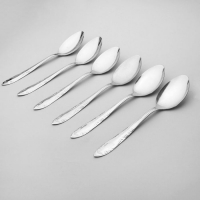 Набор столовых ложек "Общепит", 6 шт, толщина 0,7 мм