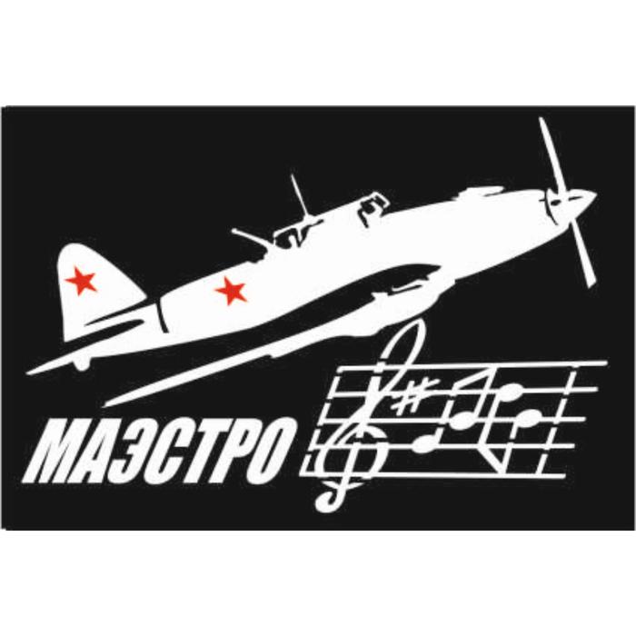 Рисунок на самолете маэстро