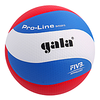 Мяч волейбольный Gala Pro-Line 10 FIVB, BV5591S, размер 5