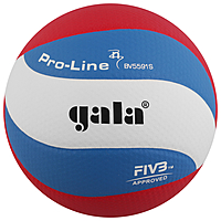 Мяч волейбольный Gala Pro-Line 10 FIVB, BV5591S, размер 5